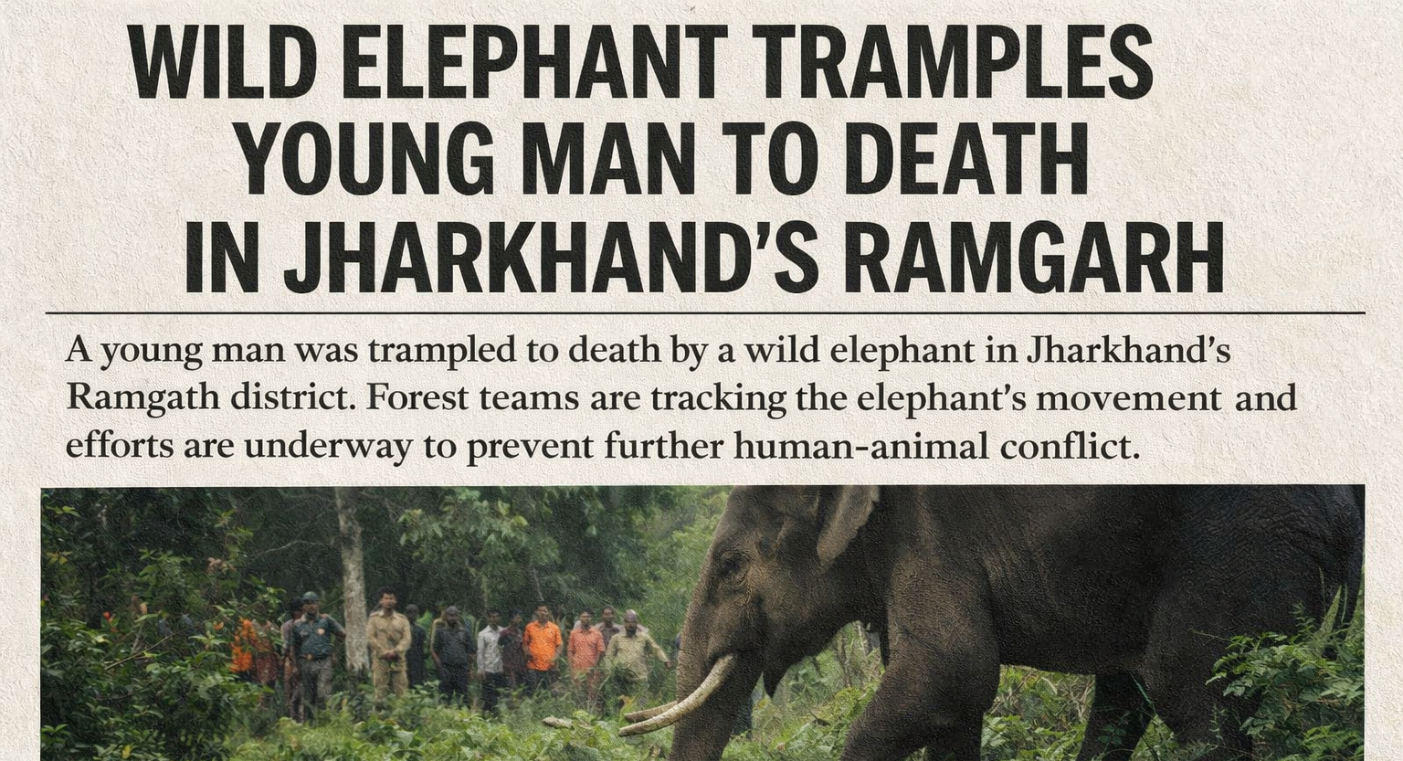 WILD ELEPHANT TRAMPLES YOUNG MAN TO DEATH IN JHARKHAND’S RAMGARH